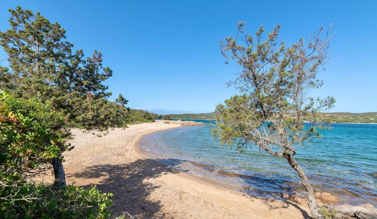 Residence Con Piscina A Palau, A Soli 150 Mt. Dal Mare Buitenkant foto